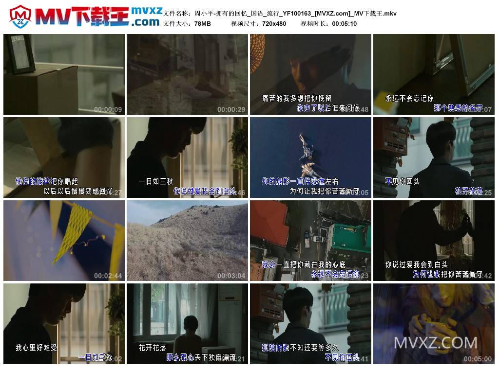 周小平-拥有的回忆_国语_流行_YF100163